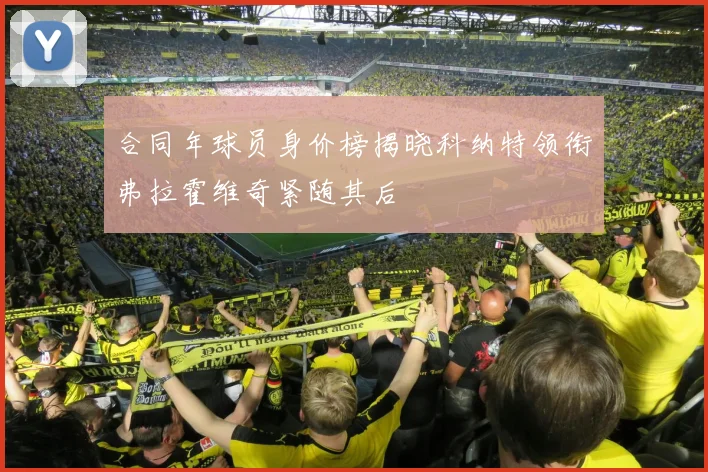 合同年球员身价榜揭晓科纳特领衔弗拉霍维奇紧随其后