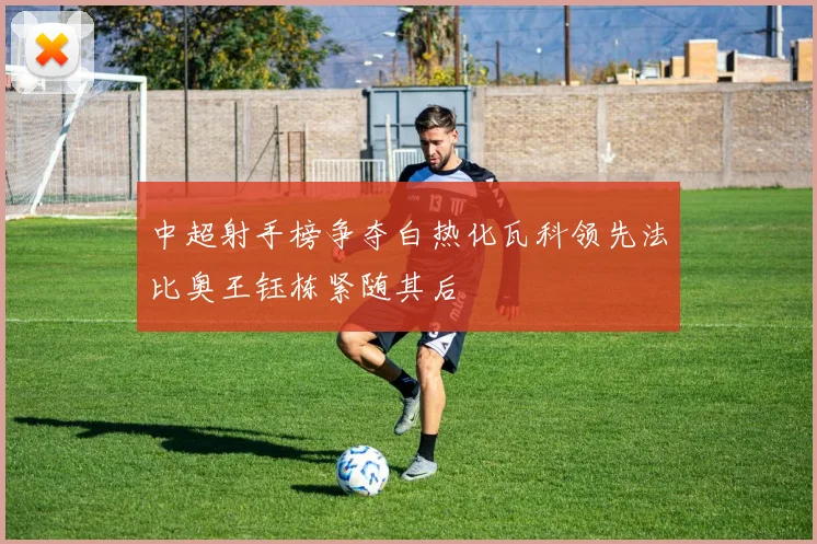 中超射手榜争夺白热化瓦科领先法比奥王钰栋紧随其后