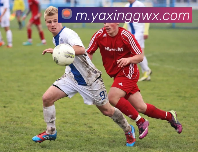 App Interface Preview